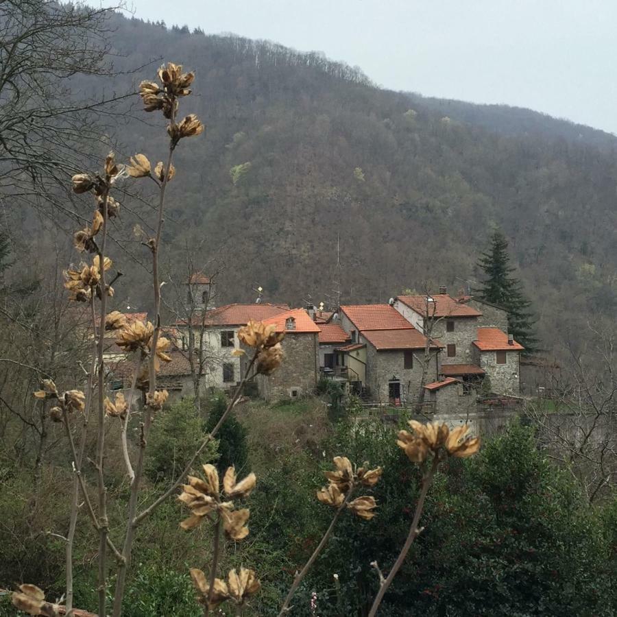 B&B Il Ghiro Castiglioni  Exteriér fotografie