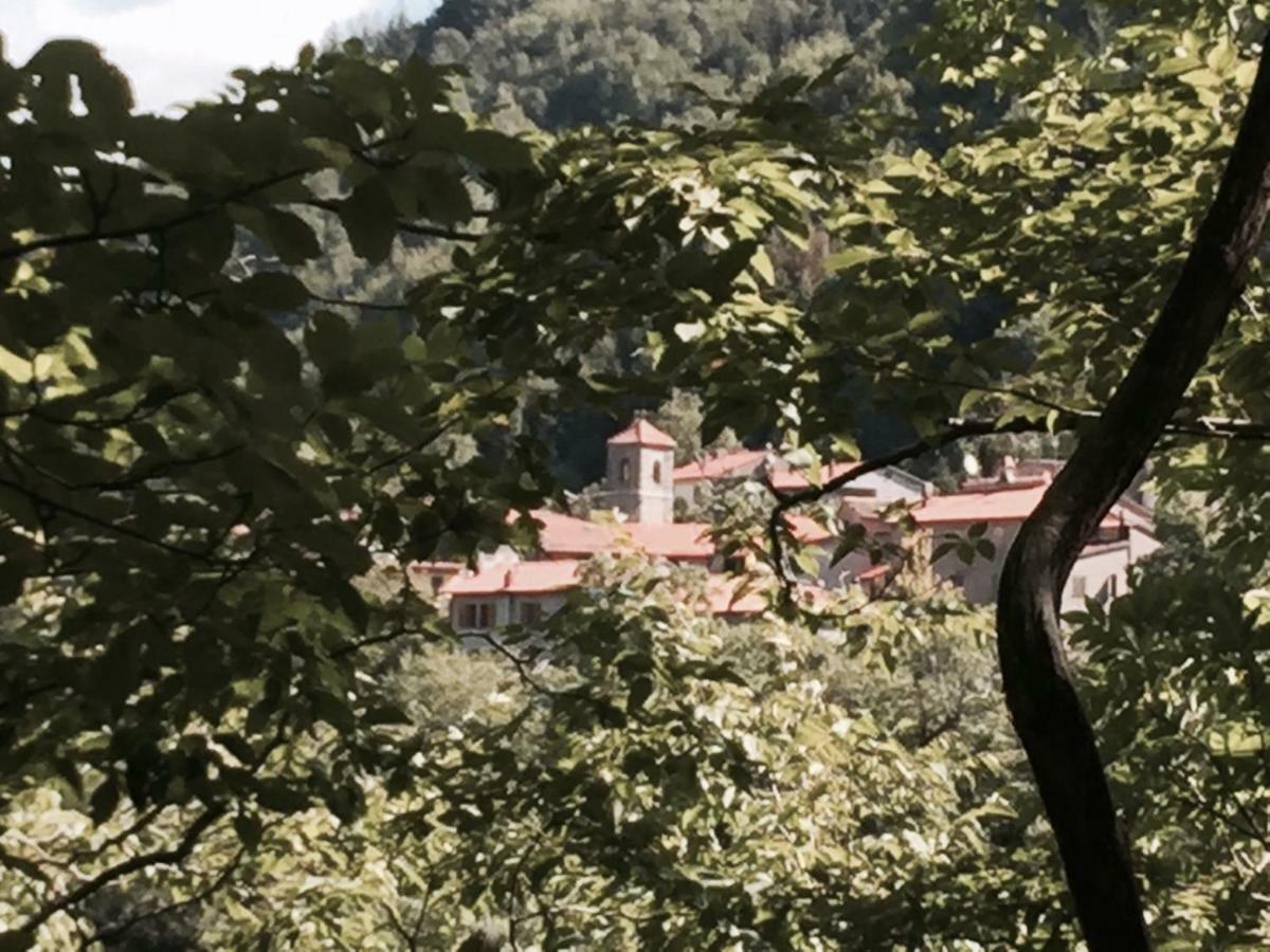 B&B Il Ghiro Castiglioni  Exteriér fotografie