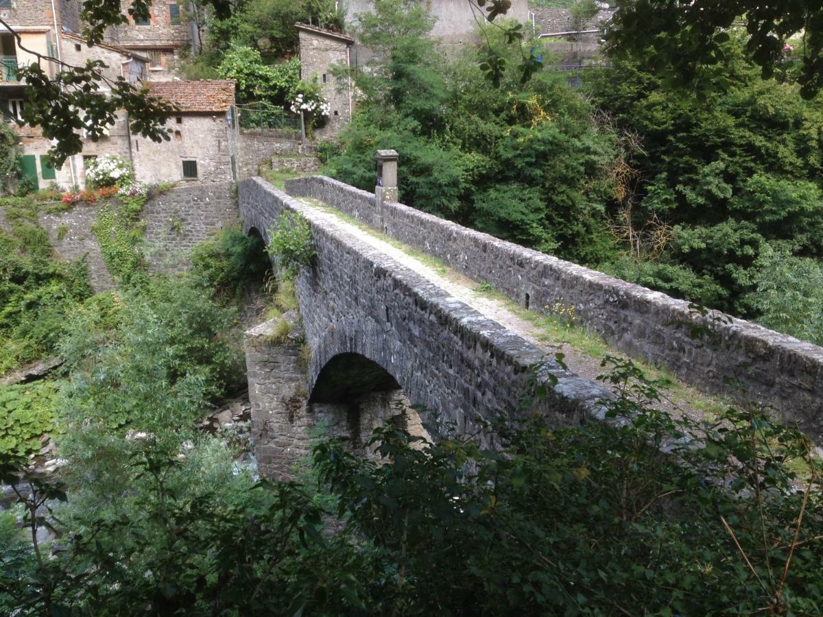 B&B Il Ghiro Castiglioni  Exteriér fotografie