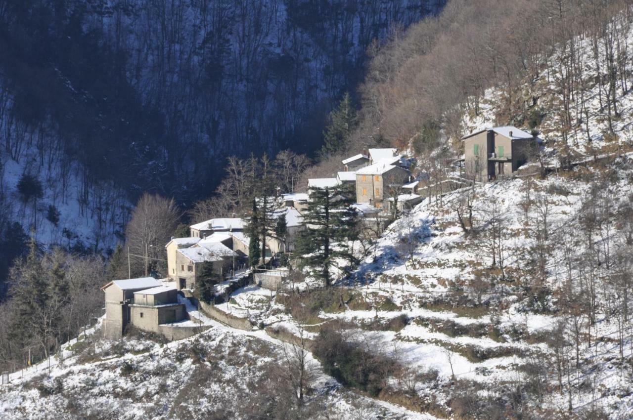 B&B Il Ghiro Castiglioni  Exteriér fotografie
