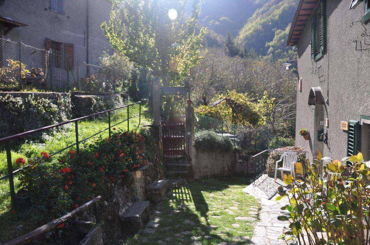 B&B Il Ghiro Castiglioni  Exteriér fotografie
