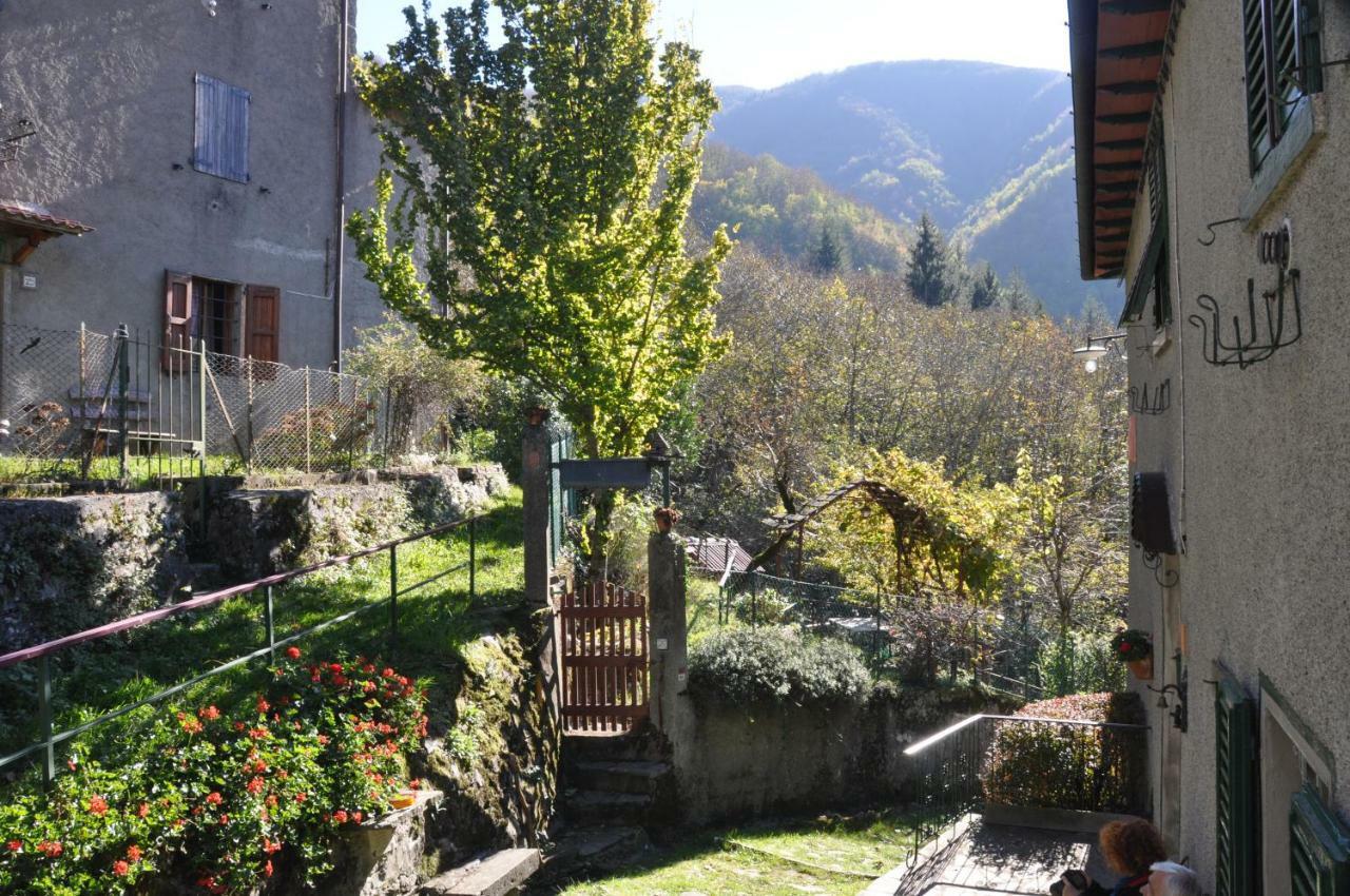B&B Il Ghiro Castiglioni  Exteriér fotografie