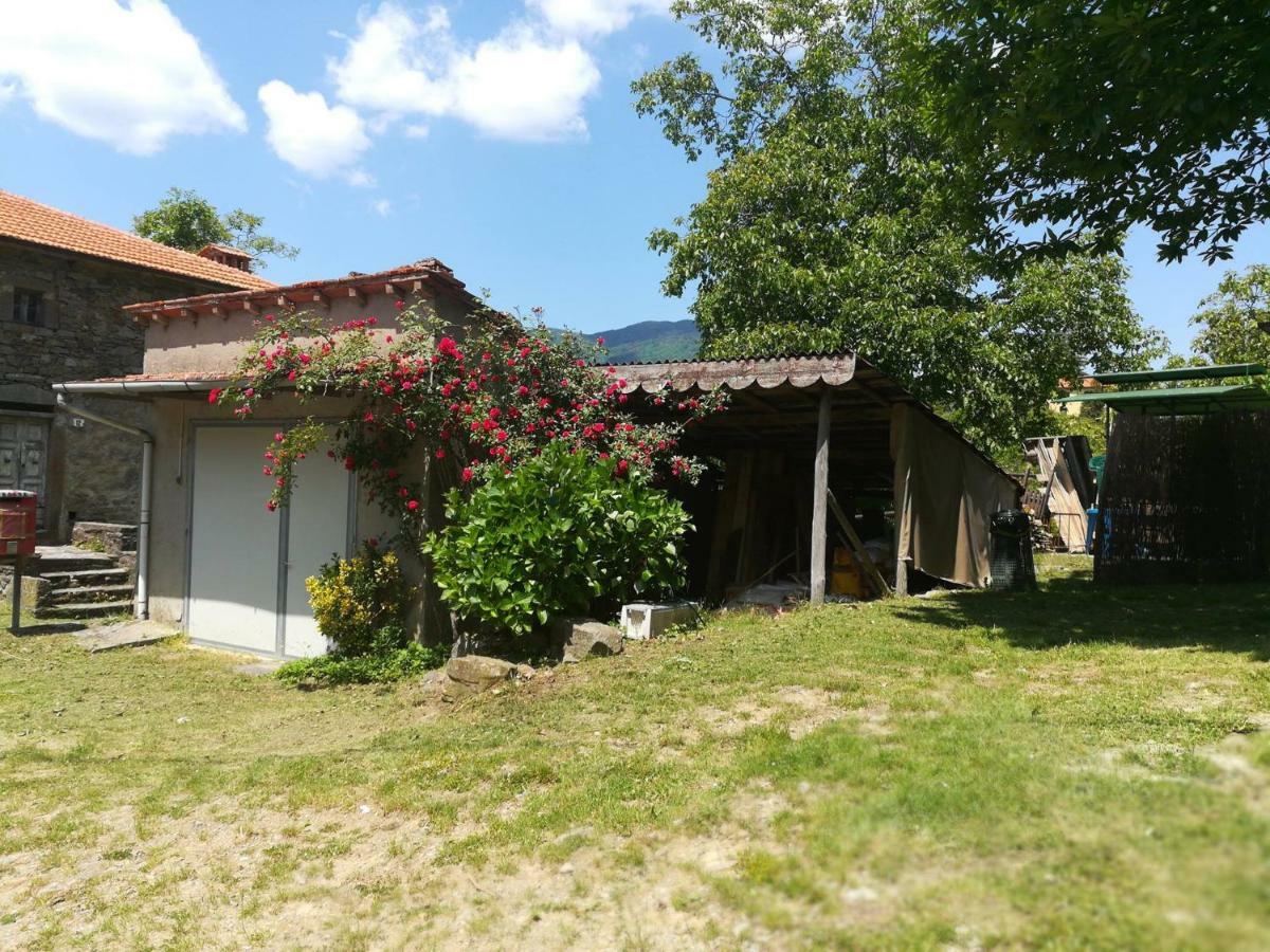 B&B Il Ghiro Castiglioni  Exteriér fotografie