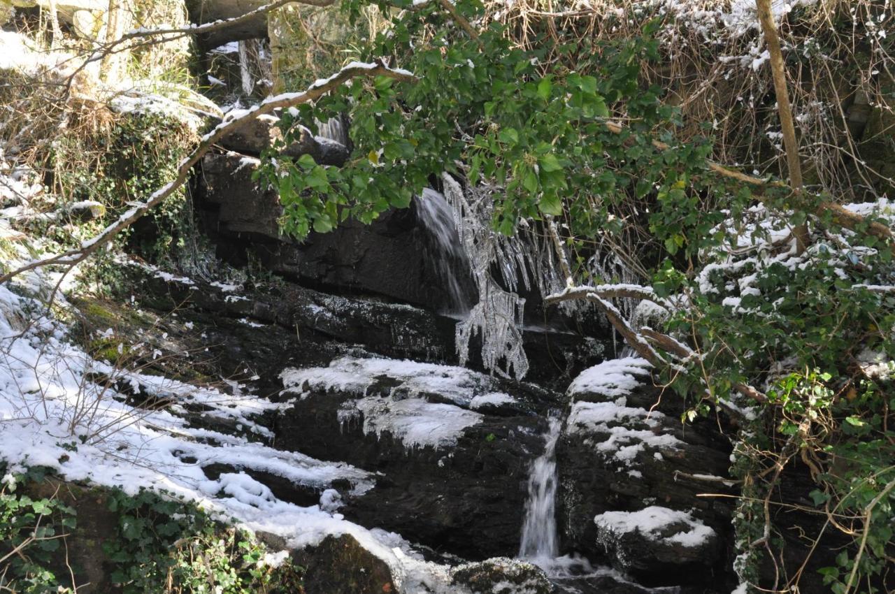 B&B Il Ghiro Castiglioni  Exteriér fotografie